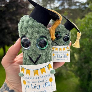 Graduation pickle, stuffed pickle, dill pickle toy, squishy pickle, cucumber, positive dill, crochet pickle, big dill, big deal pickle