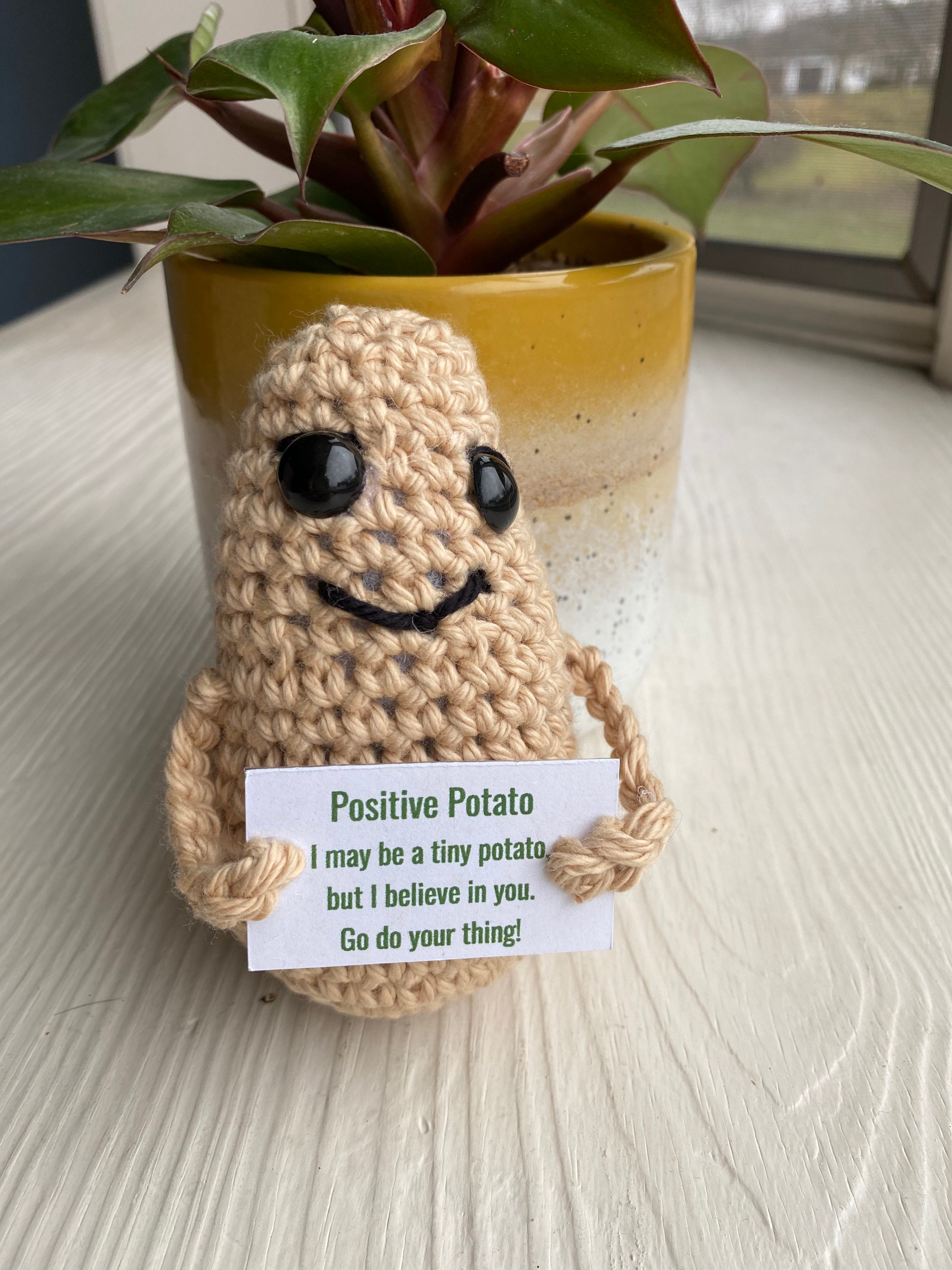Huwena Inspirational Potato Bulk Employee Appreciation Gift Mini Resin Cute  Realistic Potato with Organza Bags Funny Cards Back to School Classroom