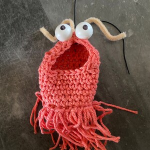 Può includere: Un aragosta rosa all'uncinetto con occhietti bianchi e antenne arancioni in filo metallico. L'aragosta ha una frangia di filato rosa intorno alla parte inferiore.