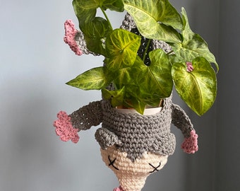Crochet Opossum Plant Hanger: Hanging Possum Basket