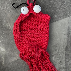 May include: Red crocheted lobster-shaped toy with googly eyes and black pipe cleaner antennae. The toy has a long fringe of red yarn.