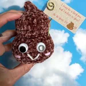 Positive poo stuffie, desk decor, amigurimi, crochet poop, Valentines Day gift, poop squishy, best friend gif