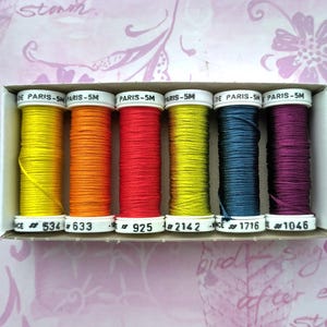 assortment of Soie de Paris - Au Ver à Soie -  6 shades &quot;Flashy&quot; - embroidery threads