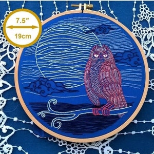 hand embroidery kit, moonlight owl,  "Le Grand Duc" - begginner stitching kit, needlepoint tutorial, modern embroidery, moonlight design