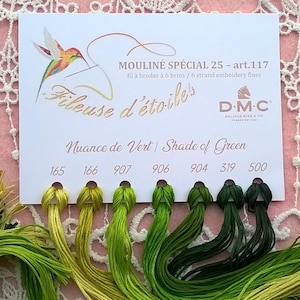 Peut inclure: Une carte de couleurs pour le fil à broder DMC Mouline Spécial 25, présentant une gamme de nuances de vert. La carte affiche six échantillons de fil, étiquetés avec des numéros et l'expression "Nuance de Vert". La carte comprend également le logo DMC et du texte.