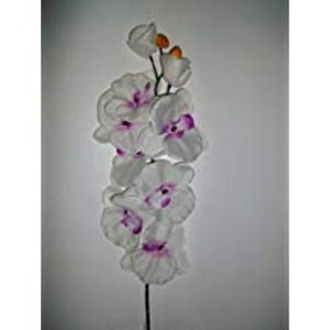 12 Phalanopsis Seta Artificiale Orchidea Fiore