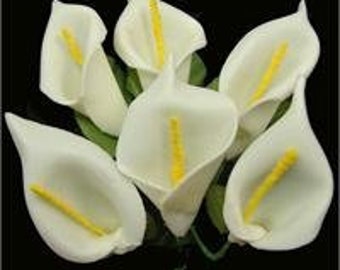 6212 Leliebloem