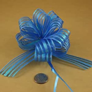 Puede incluir: Un lazo de cinta transparente a rayas azules y blancas con un centro de alambre. El lazo tiene un diámetro de aproximadamente 5 cm.