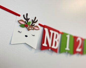 Reindeer First Year Banner, Reindeer Photo Banner, Christmas Birthday Banner, Merry Birthday, Christmas Birthday Banner, Red and Green