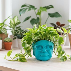 May include: A teal-coloured planter shaped like a human head wearing glasses, filled with green and yellow leafy plants. Other potted plants are in the background. The planter is on a light-coloured wooden surface.