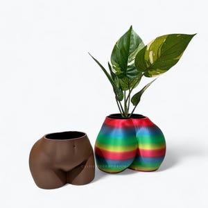 May include: Two decorative planters shaped like a human form. One is brown, the other is a rainbow of colors. The rainbow planter holds a green plant with white and yellow variegation. The text "CULTIVATEDEMPORIUM" is visible on the brown planter.