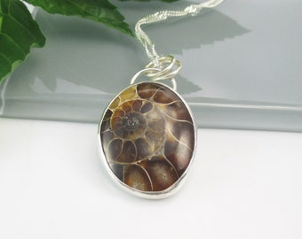 Natural Ammonite Gemstone Pendant with 18 inch Sterling Silver Chain