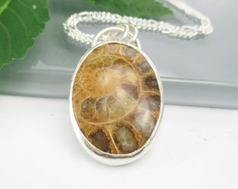 Ammonite Fossil Gemstone Pendant with Sterling Silver 18 inch Chain