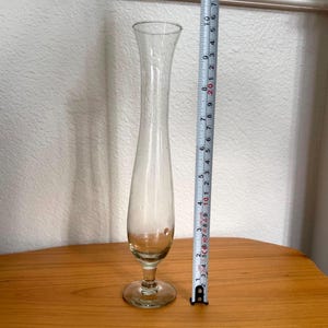 Pu&ograve; includere: Un vaso di vetro trasparente con una forma sottile e allungata. Il vaso ha una parte superiore svasata e una base rotonda. Un metro a nastro mostra che il vaso &egrave; alto circa 23 cm.