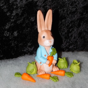 Peter Rabbit Bunny With Veggies Fondant Cake Topper