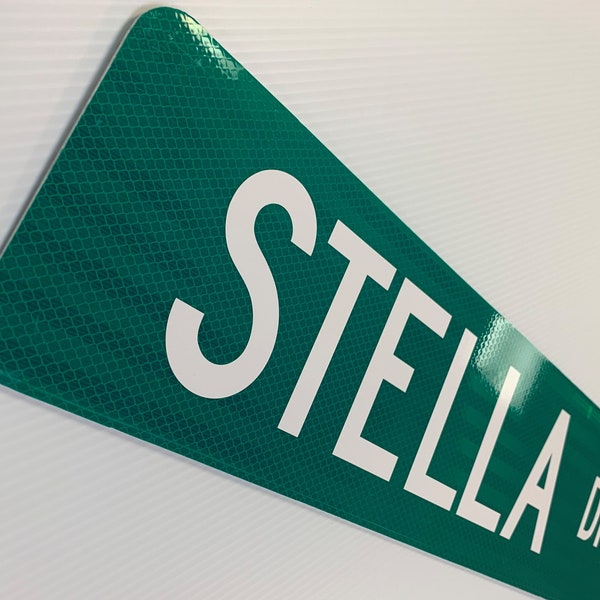 Custom Reflective Street Signs! 2 Sizes