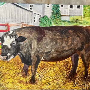 Bull