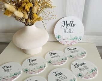 Daisy Acrylic Baby Milestone Discs: Photo Prop Set - Etsy