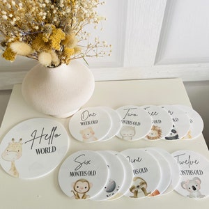 Disques d'étapes en acrylique pour bébés de la jungle, accessoires pour photos d'étapes de cartes d'étape, cadeau de baby shower pour présenter des photos de nouveau-né