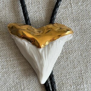 May include: A white shark tooth pendant with a gold-colored top, suspended on a black leather cord. The tooth is a triangular shape, and the gold top has a textured appearance. The cord is braided.