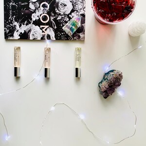 Perfect Holiday 20 LED Mini Fairy String Light Batteries Included Multi Color image 2