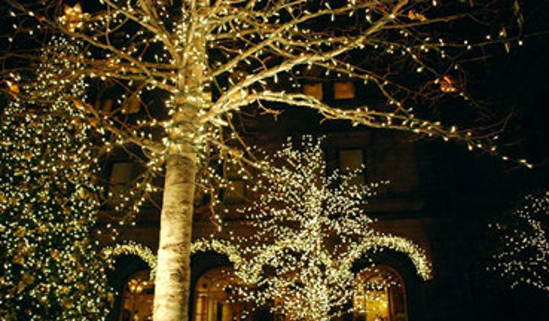 64ft 200 Led Solar Fairy String Lights For Wedding Outdoor Image 0