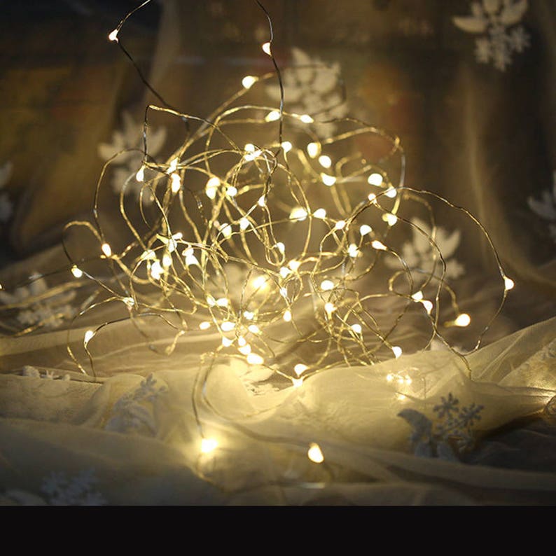 30 Led Silver Copper Lights Battery Operated Fairy String Image 0
