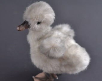 Plush baby swan MADE TO ORDER, realistic stuffed bird, lifelike animal art doll
