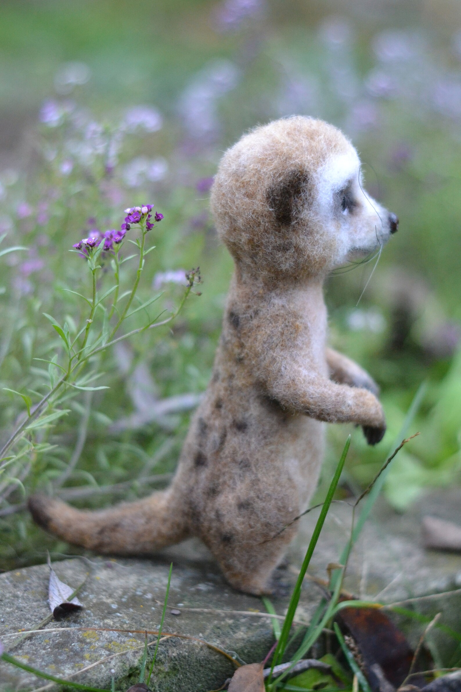 Meerkat needle felted realistic animals Wool felting meerkats Etsy