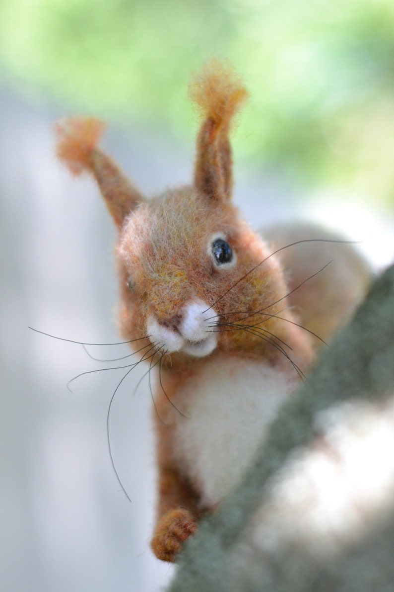 Squirrel Needle Felted Realistic Animal MADE TO ORDER Wool Etsy