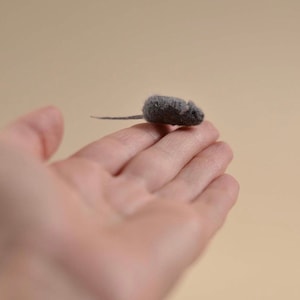 Peut inclure: Une petite figurine de souris en laine feutr&eacute;e grise avec un corps arrondi, un museau pointu et une queue fine et droite. La souris pr&eacute;sente une texture duveteuse et est fabriqu&eacute;e &agrave; partir de fibres de laine, affichant une taille miniature.
