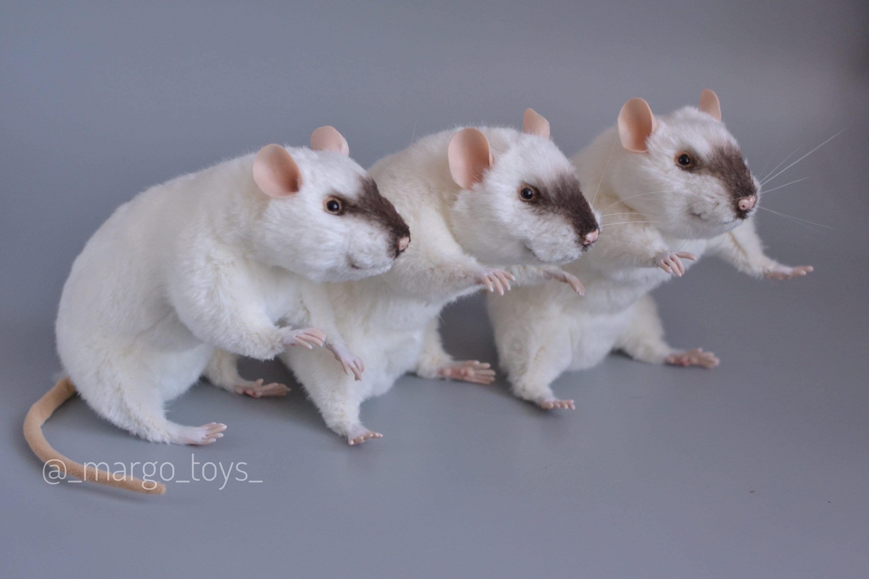 Dumbo Rat in Realistic Style, MADE TO ORDER, Animal Art Doll, Stuffed ...