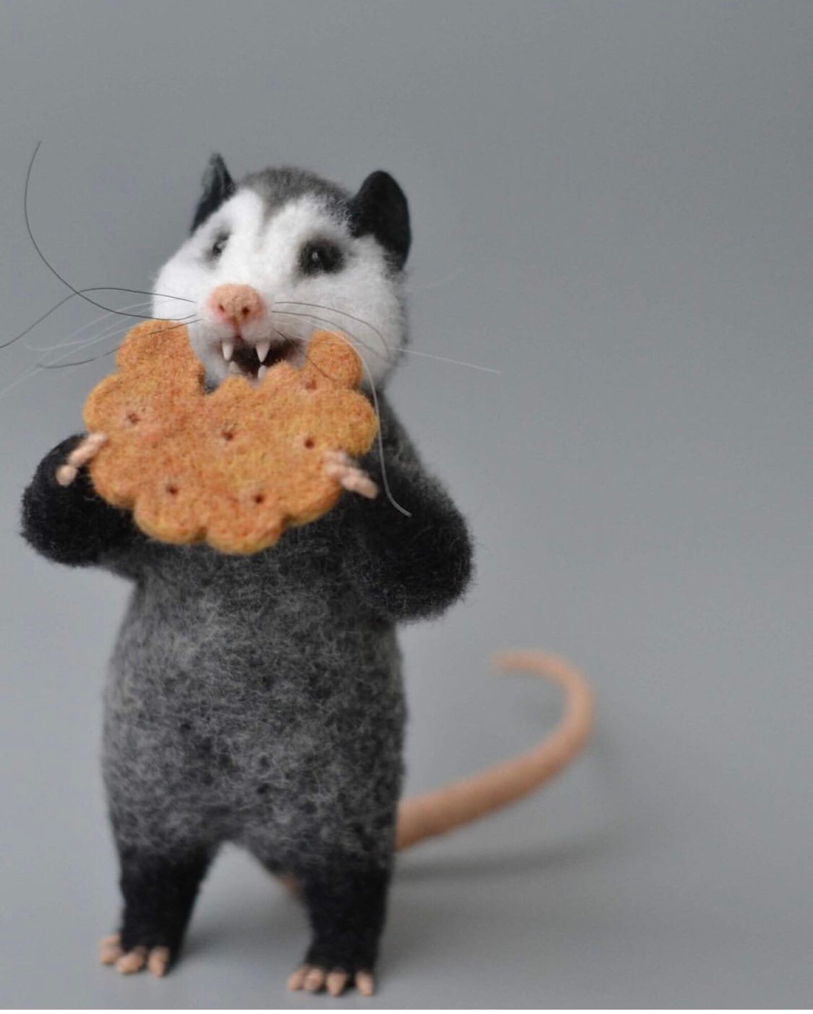 Felted Possum Needle Felt Opossum Realistic Felted Miniature Etsy