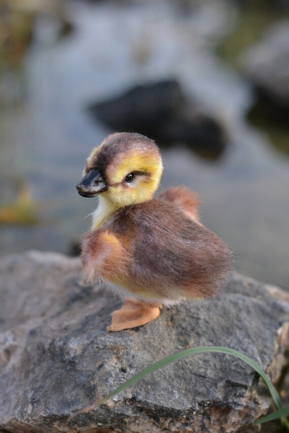 realistic duckling plush