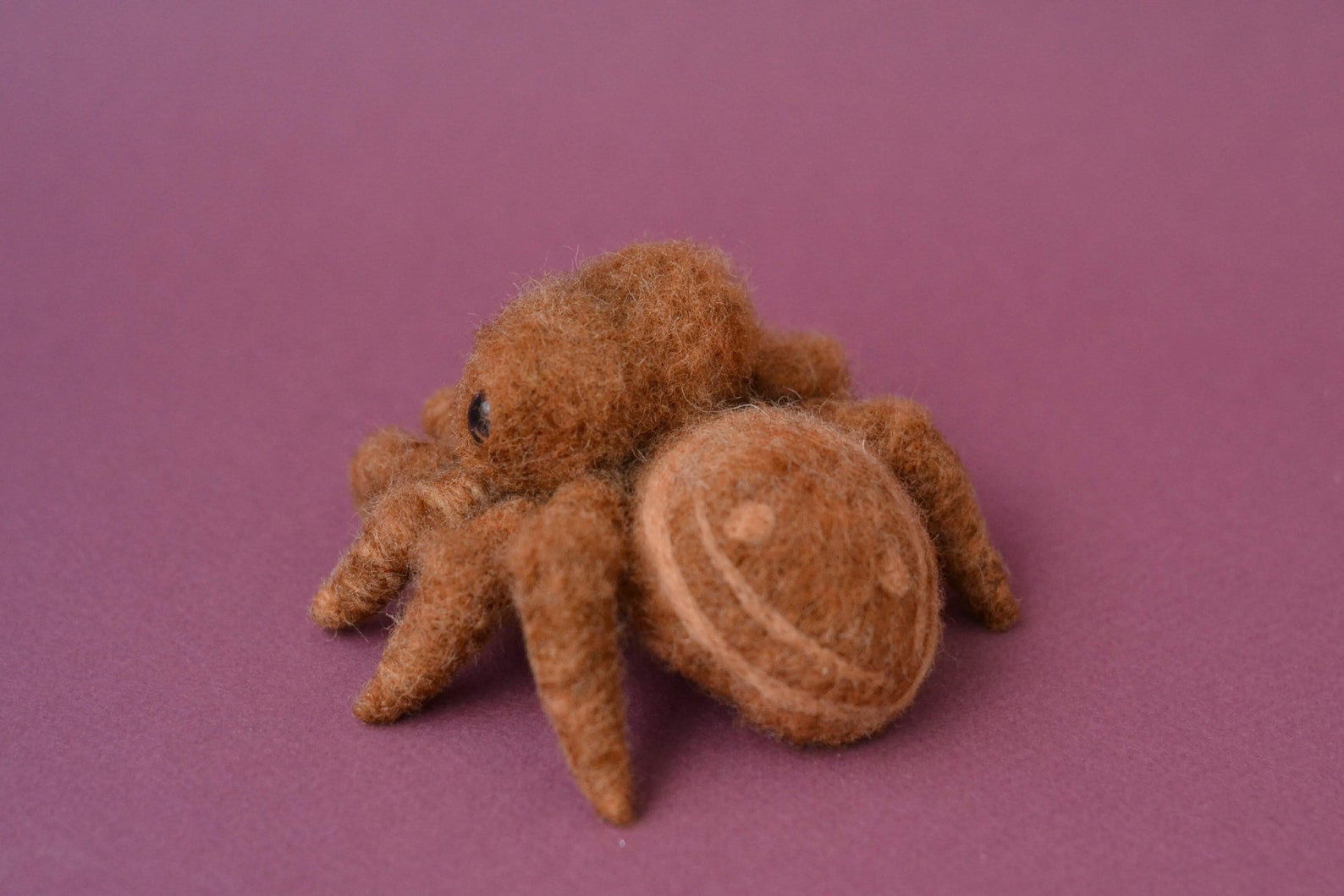 Felted Spider MADE TO ORDER Jumping Spider Toy Needle Felted Etsy