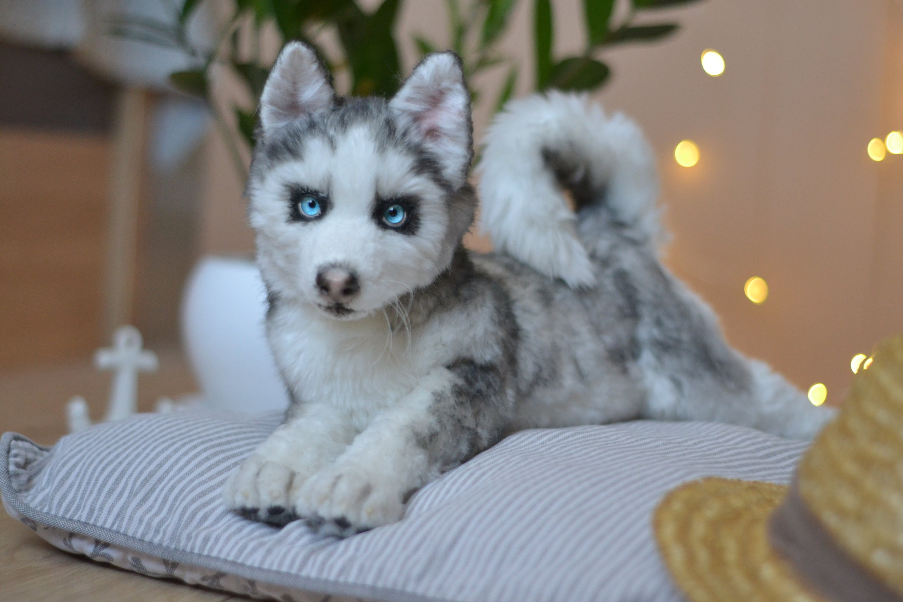 Husky Plush Toy - Realistic Fake Dog - ApolloBox