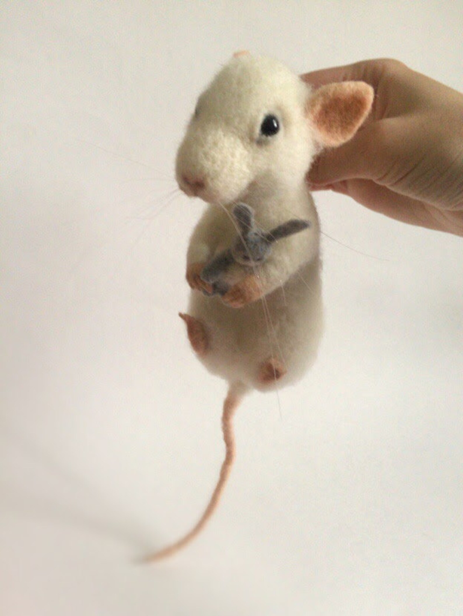 Needle felted mouse Little mice White mouse Felted animal Etsy