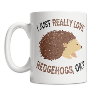 Cute Hedgehog – Engraved Stainless Steel Tumbler, Yeti Style Cup, Hedgehog  Lover Gift – 3C Etching LTD