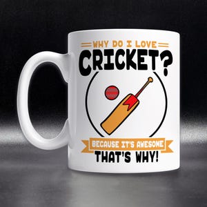 Funny Cricket Fan Mug: Cricket Player Gift
