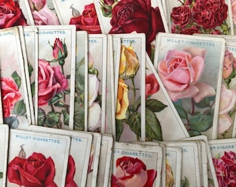 wills garden flowers cigarette cards Garden Flowers 1939 | Wills Cigarette Cards | 50 Original Cards | Flower  Pictures | Flower Cigarette Cards