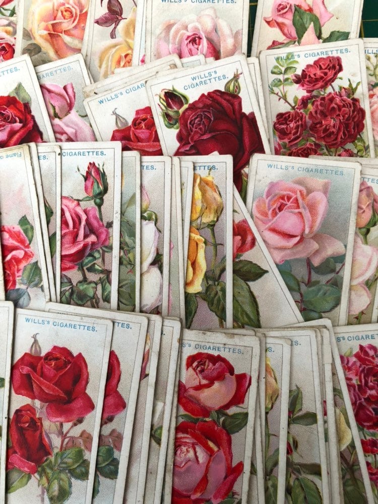 will cigarette cards Wills Cigarette Card