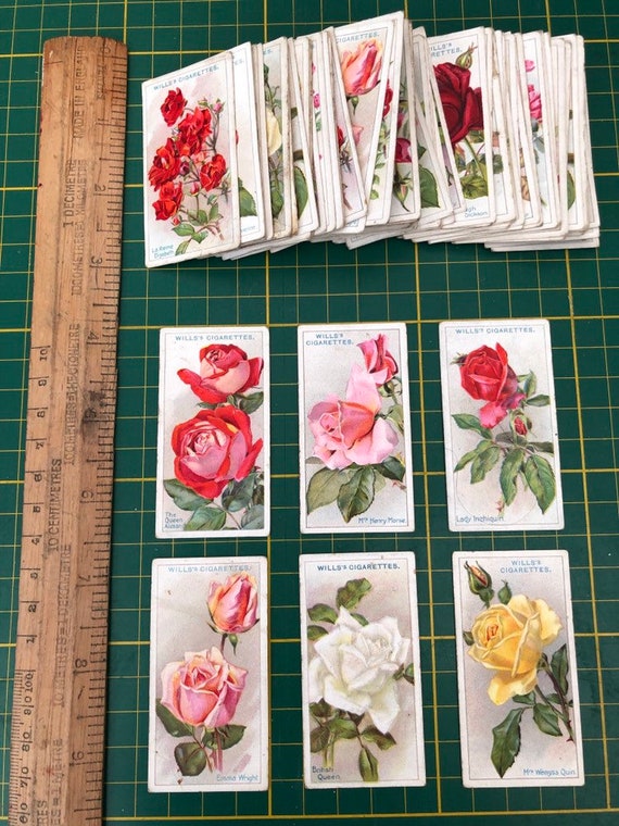 wills cigarette cards roses Original Roses Wills Cigarette Cards Series Mixed Lot of 10 Cards