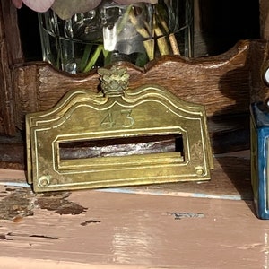 Può includere: Una targhetta per cassetta postale in ottone vintage con il numero 43 inciso. La targhetta presenta una corona decorativa e una fessura rettangolare per la posta. L'immagine mostra la targhetta su uno scaffale di legno e un vaso di fiori.