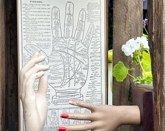 1920s Palmistry Print: Fortune Telling Hand Guide