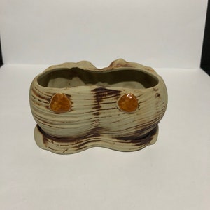 May include: A small, ceramic planter with a brown and white striped design. The planter has two small, round, orange accents on the front.