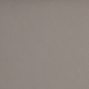 May include: A plain, solid gray background.