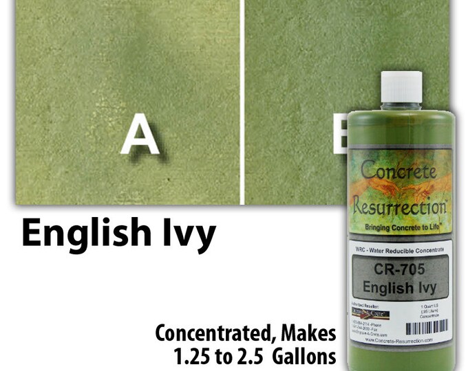 Water Based Concentrated Concrete Stain 32oz Bottle - English Ivy Interior or Exterior, Commercial or Residential, Free Shipping, UV Stable