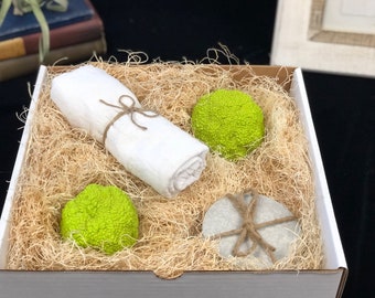 Not Your Everyday Gift Box - Unique Gift Box with Handmade Elegant Concrete Hedge Apples & Concrete Coaster Perfect for Every Ocassion
