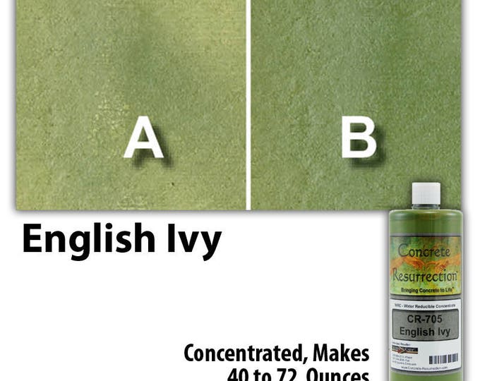 Water Based Concentrated Concrete Stain 8oz Bottle - English Ivy Interior or Exterior, Commercial or Residential, Free Shipping, UV Stable