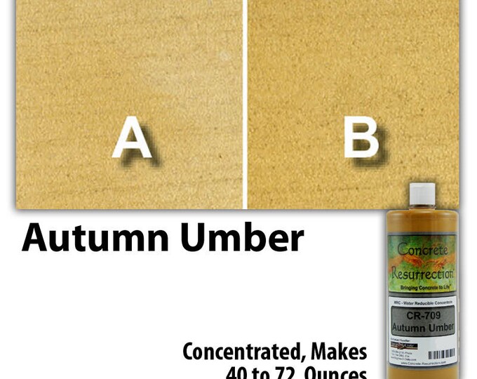 Water Based Concentrated Concrete Stain 8oz Bottle - Autumn Umber Interior or Exterior, Commercial or Residential, Free Shipping, UV Stable